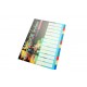 ดัชนีแฟ้ม 12หยัก 11รู A4 PP ใบโพธิ์ B-104
